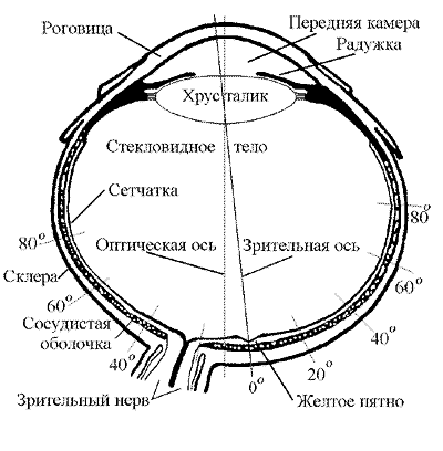 Рисунок 4