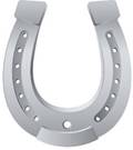 https://cdn5.vectorstock.com/i/1000x1000/36/54/silver-horseshoe-on-white-background-for-design-vector-15123654.jpg