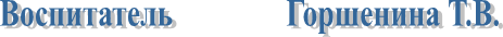 Воспитатель               Горшенина Т.В.
