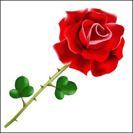 Picture background