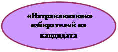 Овал:  «Натравливание» избирателей на кандидата