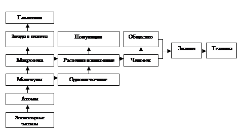 Окружающий мир как иерархическая система 9 класс презентация