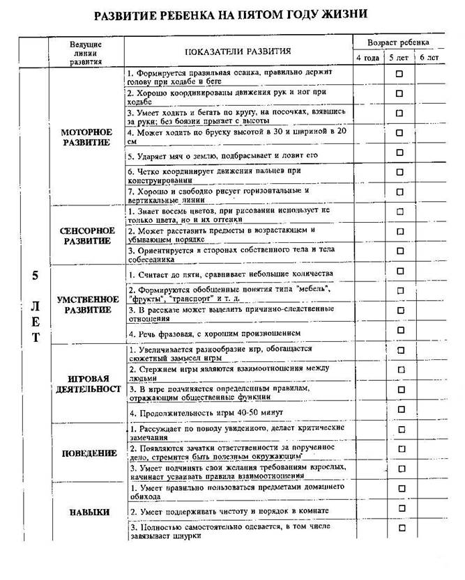 Развит 6