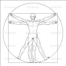 Vitruv-Mann von Leonardo da Vinci &icy;&zcy; Peter Hermes Furian. &Rcy;&ocy;&yacy;&lcy;&tcy;&icy;-&fcy;&rcy;&icy; &vcy;&iecy;&kcy;&tcy;&ocy;&rcy; #36802824 &ncy;&acy; Fotolia.ru