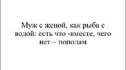 Изображение выглядит как текст, Шрифт, снимок экрана, белый  Автоматически созданное описание
