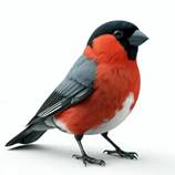 https://avatars.mds.yandex.net/i?id=fb78bde529708f704fcb93c77f7d2368a2ab9ec2-10255709-images-thumbs&n=13