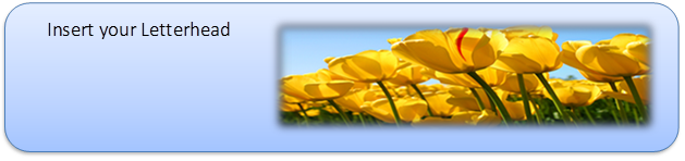  ,Insert your Letterhead