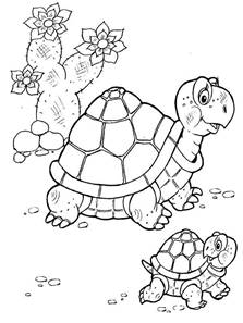 Раскраски Черепаха, Раскраска Черепаха с черепашонком раскраски.