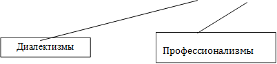 Диалектизмы,Профессионализмы