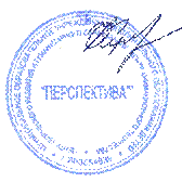 перспектива и директор