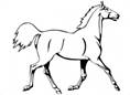Running Horse Coloring Pages For Kids