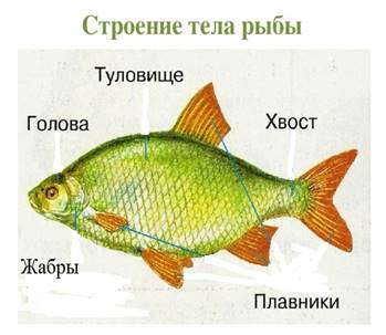 img3.jpg