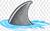 https://w7.pngwing.com/pngs/146/914/png-transparent-gray-shark-fin-illustration-shark-fin-soup-shark-finning-cartoon-sharks-marine-mammal-animals-logo.png