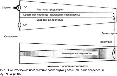 Основы психоакустики (Интересные особенности психоакустики)
