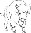 http://pl.easyprints.info/wp-content/uploads/sites/4/2016/01/Coloring-Pages-of-Bison-834x1024.jpg