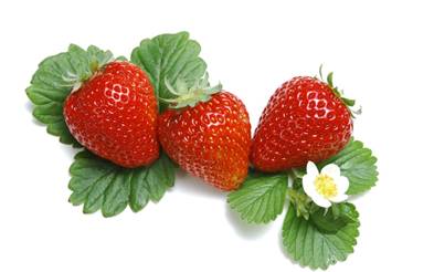 http://images6.fanpop.com/image/photos/34900000/Strawberry-fruit-34914858-1920-1200.jpg