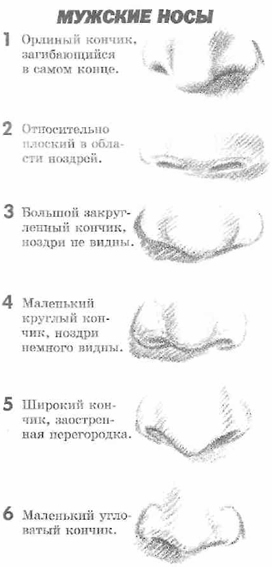 http://festival.1september.ru/articles/609343/5.jpg