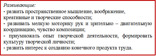 Развивающие:
- развить пространственное мышление, воображение, креативные и творческие способности;
- развивать мелкую моторику рук и зрительно – двигательную координацию, чувство композиции;
- приумножать опыт творческой деятельности, формировать культуру творческой личности;
- развить интерес к созданию конечного продукта труда.

