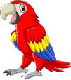 Arara engraçada dos desenhos animados Ve... Free Vector #Freepik #freevector #f.