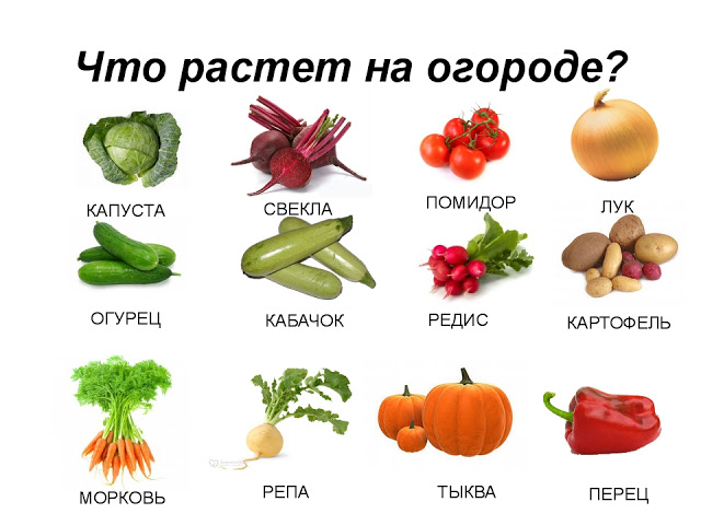 https://3.bp.blogspot.com/-BB0C7zsWBxk/WAN0S1W4jEI/AAAAAAABHvE/20WYjjazKDwHO9_eD5FMEvULNgZ7F9JVQCLcB/s640/img28.jpg