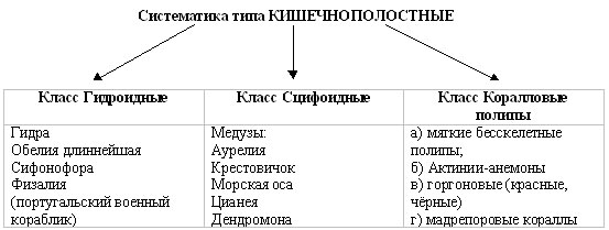 ÑƒÑ€Ð¾Ðº Ð±Ð¸Ð¾Ð»Ð¾Ð³Ð¸Ð¸ Ð½Ð° Ñ‚ÐµÐ¼Ñƒ "ÐœÐ½Ð¾Ð³Ð¾Ð¾Ð±Ñ€Ð°Ð·Ð¸Ðµ ÐºÐ¸ÑˆÐµÑ‡Ð½Ð¾Ð¿Ð¾Ð»Ð¾ÑÑ‚Ð½Ñ‹Ñ…"