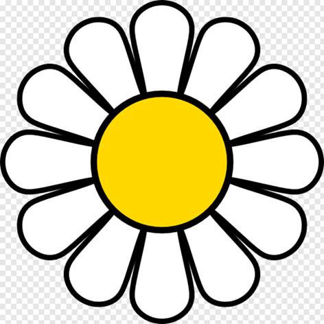 https://www.pngjoy.com/pngm/18/464765_memorial-day-daisy-clipart-transparent-png.png