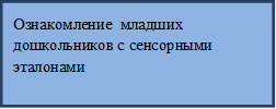 Ознакомление  младших дошкольников с сенсорными эталонами