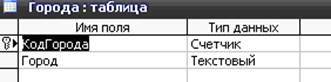 курсовая база данных библиотека access