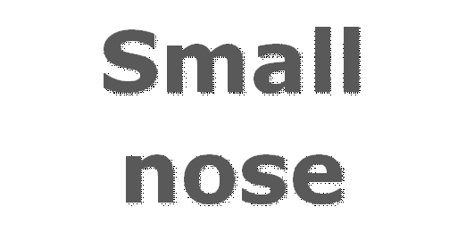 Small
nose
