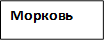 Морковь