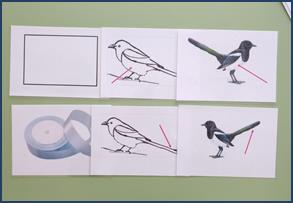 photo_2026-02-12_19-35-13 (2)