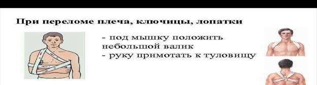 билет 6 вопрос 3