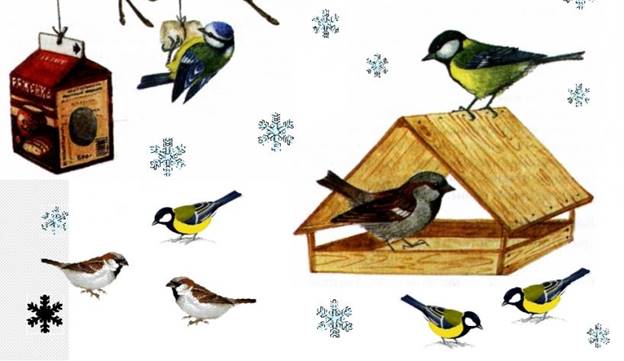 Экологическая акция "Покормите птиц зимой" | Детский сад №34 «Золотой ключик»