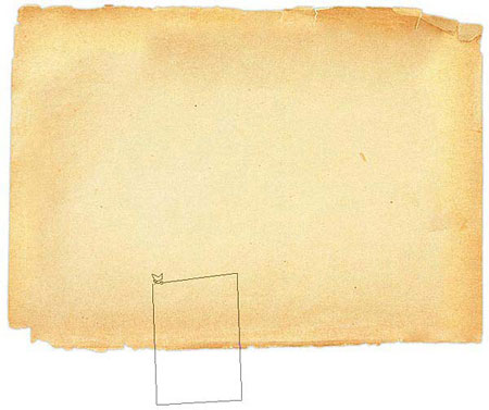 lasso tool