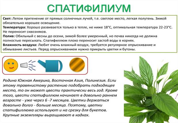 https://cf.ppt-online.org/files/slide/r/rPL9FbpIgDh8evBEKlXjn1cdti0NRxz5HTZV4O/slide-20.jpg