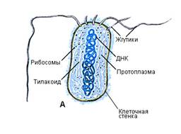 Безимени-1.jpg