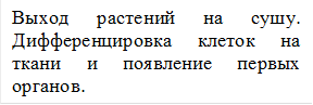 Выход растений на сушу. Дифференцировка клеток на ткани и появление первых органов.