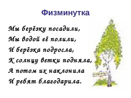 Физминутка Мы берёзку посадили, Мы водой её полили, И берёзка подросла, К с...