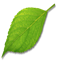 http://leaf.hu/leaf.png