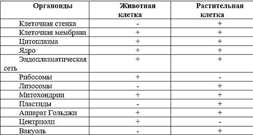 Цель: находить особенности строения клеток различных организмов, сравнивать их между собой. Оборудование: графическое изображение клеток растений, животных.