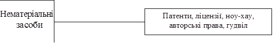 Нематеріальні засоби	
		Патенти, ліцензії, ноу-хау, авторські права, гудвіл
		
	

