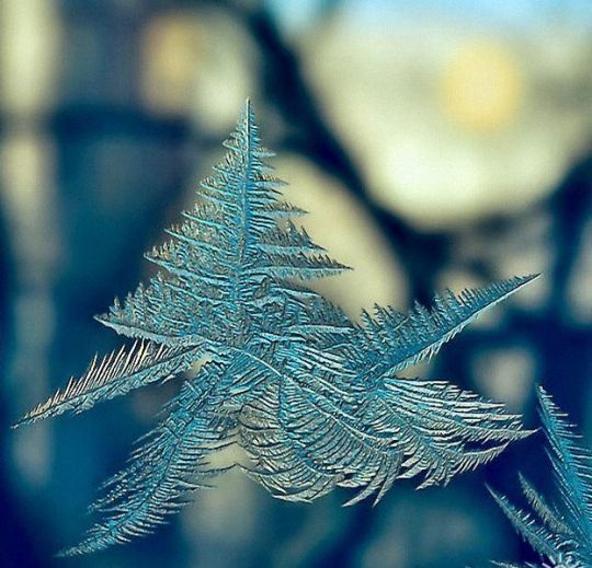 http://www.rumanna.ru/images/news/uzor/uzor22.jpg