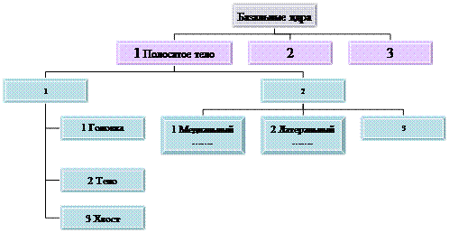 Организационная диаграмма