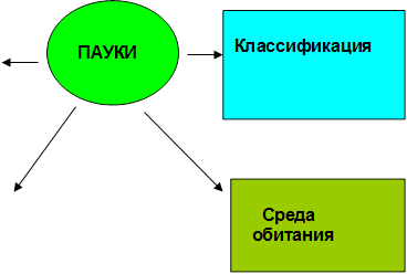                 Классификация
 
,ПАУКИ
,    Среда
  обитания
