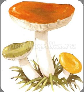 http://ped-kopilka.ru/upload/blogs/19069_b310ef30a37e90848264ba8dbe892c56.png.jpg