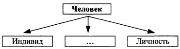 Схема по обществознанию 6 класс