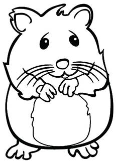 https://ficardo-weddings.com/images/coloring-pages-of-cute-hamsters/hamster-coloring-page-complete-hamster-pictures-to-print-coloring-pages-christmas-hamster-coloring-pages.jpg