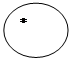 Овал: *