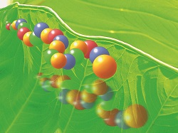 https://www.chemistry-expo.ru/common/img/uploaded/articles/chem/1-1.jpg