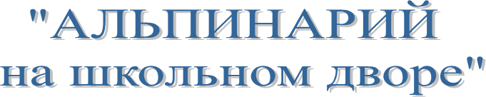 "АЛЬПИНАРИЙ 
на школьном дворе"